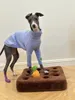 Abbigliamento per cani Abbigliamento di piccola e media taglia Primavera/estate Pet ultrasottile Whybit Greyhound Cani Accessori Cucciolo