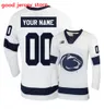 Penn State Nittany Lions Maglia da hockey Chase Berger Kevin Kerr 10 Brandon Biro 13 Nikita Pavlychev 3 Patrick Koudys Erik Autio Penn State Maglie cucite da uomo personalizzate