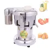 Cold Press Juicer Machine Fruit Vegetable Juicer Extractor