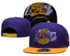 Mix order Ontwerper Snapbacks Basketbalhoeden Logo van het hele team Verstelbaar Getailleerd vissershoedje Borduursel Katoen Mesh flex Mutsen balhoed Hiphop Sport Buitenpet