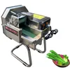 220V Vegetabilisk skärmaskin Rostfritt stål Lök Slicer Machine Multifunktion Cut Scallion Saukraut Pepper Dicing Machine