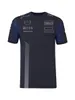 2024 F1 Racing Team T-shirt spécial Formule 1 Pilote Polos T-shirts Nouvelle Saison Course Vêtements De Sport Fans Hauts Maillot Pour Hommes