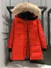 Designer canadese versione di media lunghezza Puffer piumino d'oca Giacca da donna Parka invernale spesso cappotti caldi antivento Streetwear Jjvk Kti7