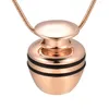 Chains IJD9896 Stainless Steel Unique Jar Cremation Keepsake Pendant For Ash Urn Memorial Souvenir Necklace Men And Women Jewelry