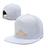 Top Fashion Iron-brand Ball Caps Mens Sport Hip Hop adjuatable Fitted Hats Womens Cotton Casual Hat
