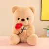 Adorabile orsetto rosa bambola regalo di confessione di San Valentino che abbraccia orso di peluche regalo di compleanno