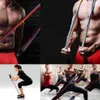 Resistance Bands Set Bodybuilding Home Gym Equipment Professional Weight Training Fitness Elastic Rubber Workout Expander 230406