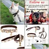 Dog Collars Leashes Designers Leather Collar and Leashセット