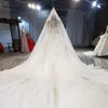 Trouwjurk prachtige appliques hof trein prinses jurken 2023 luxe kralen open rug bruidsjurk vestido de noiva korte mouw