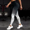 Mallas de mujer, pantalones de yoga con gradiente hueco para mujer, pierna sin costuras, ejercicio de gimnasio, cintura ajustada, pierna de malla, pantalones deportivos para mujer 230406