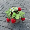 Other Event Party Supplies HandKnitted Strawberry Plants Bonsai Artificial Handmade Crochet Flower Original Gift For Cute Room Home Table Ideas Decoration 230406