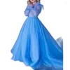 Robes de fille bleu élégant tulle plume fleur robe enfants anniversaire manches longues appliques princesse pour mariage soirée robes de bal