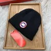 Tasarımcı Beanie Vintage Örme Lüks Şapka Unisex Traend 9 Renk Sonbahar Kış Yün Kış Zerafeti için gerekli çok yönlülük Mizaç Gündelik Moda Sıcak Hediye 02