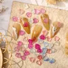 Decorazioni per nail art Scoreggia color pesca Cuori lucidi che ottengono sfumature piatte Luce estiva Amore Accessori in resinaUnghie