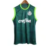 23 24 Palmeiras Mens Soccer Jerseys Breno Lopes R.veiga Deyverson Atuesta Ze Rafael G.veron Dudu Home Away Camisas de futebol sem mangas