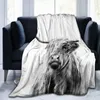Blankets Cow Print Blanket Black White Bed Throws Soft Couch Sofa Cozy Warm Small Plush Gift for Daughter Mom Bedroom Decor 230406
