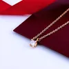 Hanger Moissanite Designer Ketting Kettingen Sterling Rise Gold Sier Ketting Mode-sieraden voor Verjaardagsfeestje Cadeau Gratis verzending s