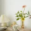Vases Flower Vase Glass Plant Nordic Decor Hydroponic Bonsai Desktop Decorative Table Terrarium