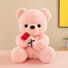 Adorabile orsetto rosa bambola regalo di confessione di San Valentino che abbraccia orso di peluche regalo di compleanno