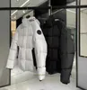 Erkekler Parkas Mens Kış Ceket Puffer Tasarımcı Ceketler Kadın Pamuk Parka Palto Patlama Tasarım Kalın Sıcak Hooded Aşağı Downbreaker Bezin3294707