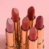 NO Logo Wholesale Hot Sale Matte Lipstick Good Quality Cosmetic Lipstick Matte Factory Lipstick Private Label Lipstick Accept Your Logo Customized Private Label