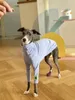Abbigliamento per cani Abbigliamento di piccola e media taglia Primavera/estate Pet ultrasottile Whybit Greyhound Cani Accessori Cucciolo