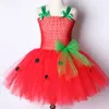 Girls Dresses Baby Tutu Dress Strawberry Princess for Kids Girl Birthday Costume Watermelon Halloween Christmas Costumes Toddler 230406