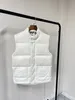 2023 gilet mode hommes femmes gilet col montant sans manches automne vêtements d'hiver garder au chaud hommes styliste veste d'hiver épaissir manteau extérieur vêtements de marque de luxe