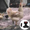 Hundhalsar Kycklingssele med koppel Bekväm andningsbar hönvest anka för att gå i promenad
