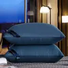 Almohada 48x74cm Hilton Five Star el Pillow Almohadilla de relleno de microfibra de color sólido para dormitorio Cama para dormir Almohada central rectangular 230406