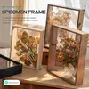 Frames Dried Flower Po Frame DIY Craft Souvenir Box Press Show Specimen Displaying Wooden Transparent