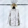 Adult Designer goose Down Jacket Winter Warm Coats duck Casual Letter Embroidery Outdoor Winter Fashion For male 07 Women's Trillium Parka