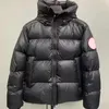 Novo estilo de inverno masculino lazer canadá jaqueta puffer parka pato branco outerwear com capuz manter aquecido jaqueta moda clássico casaco plus size outerwear smlxl2xl