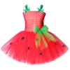 Girls Dresses Baby Tutu Dress Strawberry Princess for Kids Girl Birthday Costume Watermelon Halloween Christmas Costumes Toddler 230406