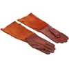 Disposable Gloves 1 Pair Professional Rose Pruning Thorn Proof Gardening Long