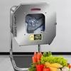 220V Vegetabilisk skärmaskin Rostfritt stål Lök Slicer Machine Multifunktion Cut Scallion Saukraut Pepper Dicing Machine
