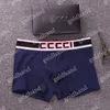 Cuecas masculinas de grife boxers de cor sólida estampadas em letra de algodão puro shorts esportivos respiráveis 3 pçs/lote