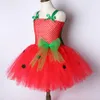 Girls Dresses Baby Tutu Dress Strawberry Princess for Kids Girl Birthday Costume Watermelon Halloween Christmas Costumes Toddler 230406