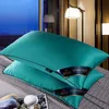 Almohada 48x74cm Hilton Five Star el Pillow Almohadilla de relleno de microfibra de color sólido para dormitorio Cama para dormir Almohada central rectangular 230406