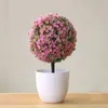 Decorative Flowers Big Garden Statues Animal Sculptures Artificial Shaped Tree Fresh Green Flower In White Plastic Pot For Home