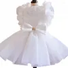 Costumes de chat vêtements pour animaux de compagnie robe de mariée blanche pour chiens vêtements petit mignon mince printemps été mode tendance fille Yorkshire accessoires