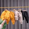 Kläder sätter nya vinterhöst baby pojkar kläder hylsa byxor 2 st/set bomull varm kostym barn kläder småbarnsspår R231107