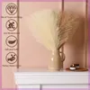 Decoratieve Bloemen 10/20 Stuks Kunstmatige Pampas Gras Bloemboeket Voor Thuis Bruiloft Decoratie DIY Party Slaapkamer Nep Plant Vaas decor Riet