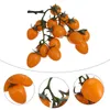 Party Decoration 10 Pack Artificial Cherry Tomatoes Pography Props Home Decor Plastic Plastic plastisk