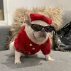 Luxe honden trui jas cap mode warme gebreide kleding schnauzer bichon corgi teddy gouden gesp haar ornamenten