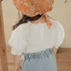 キッズシャツファッション女の女の子刺繍シャツコットン幼児幼児の子供ショートパフスリーブブラウスソリッドカラー夏の服1 7y 230407