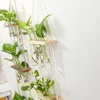 Vasen 3 abgestufter Wandbehang Reagenzglas Hydrokulturpflanze Propagator mit Holzständer transparente Vermehrungsstation