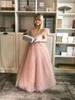 Girl Dresses Flower Dress Wedding Princess Tulle Evening Gown Birthday Party Prom Ball Pageant Special Occasion Poshoot Wear