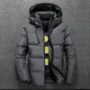 Parkas pour hommes hiver chaud hommes veste manteau décontracté automne col montant bouffant épais chapeau blanc canard Parka mâle hommes hiver doudoune avec capuche 231107