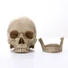 Decoratieve objecten Figurines 1 1 Human Head Skull Standbeeld voor Home Decor Resin Halloween Decoration Sculpture Teaching Sketch Model Crafts 230406